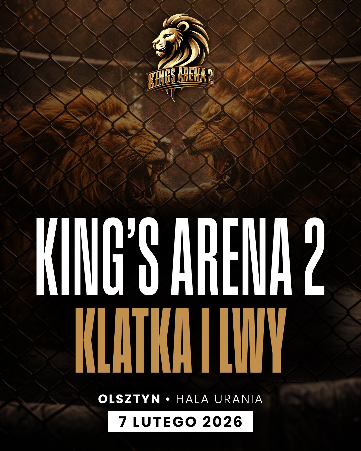 King's Arena 2: TBA